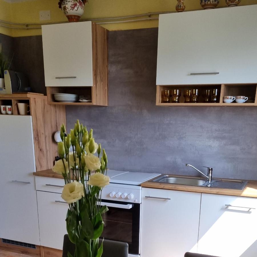 Apartma Tanja -Kamnik Zewnętrze zdjęcie