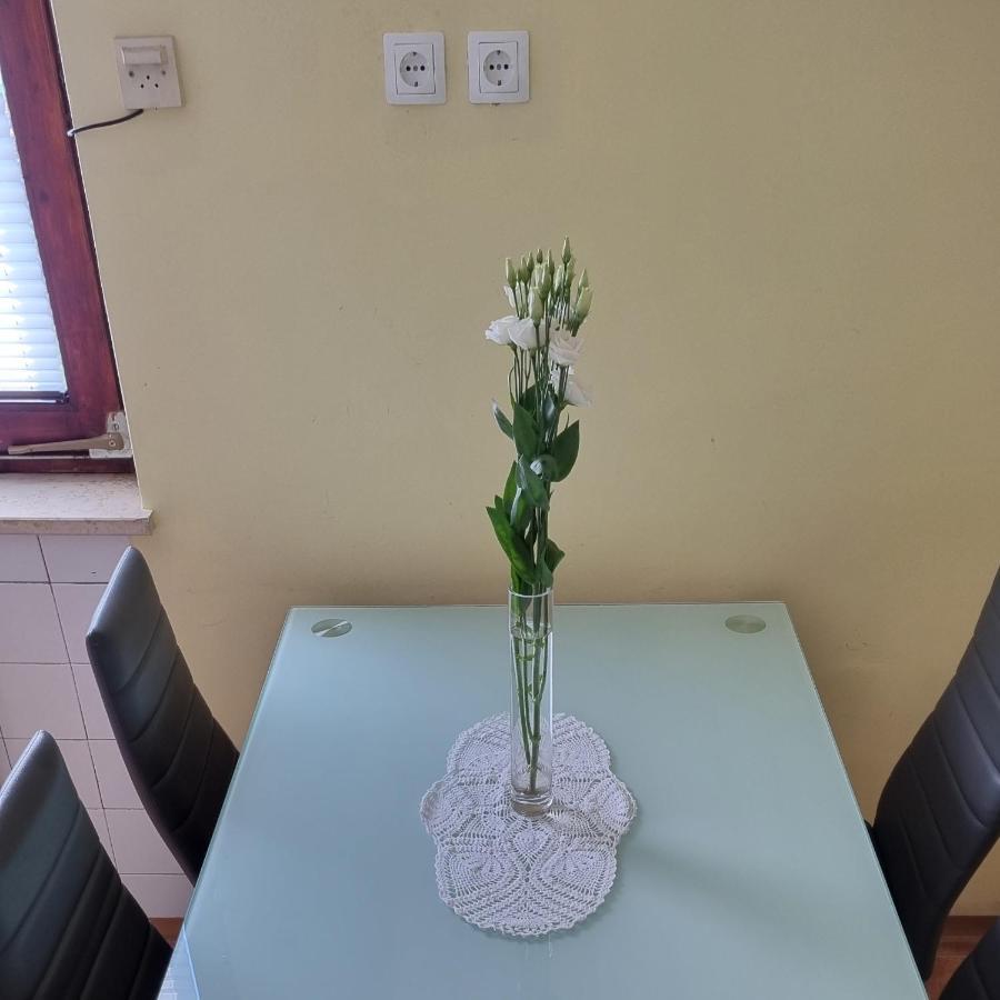 Apartma Tanja -Kamnik Zewnętrze zdjęcie